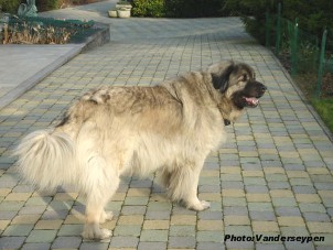 Alan 7,5 years